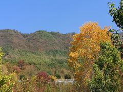 -塔川景区