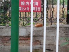 -石家庄市植物园