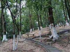 -火炉山森林公园