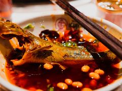 -吃城都·鱼蛙火锅(西玉龙街店)