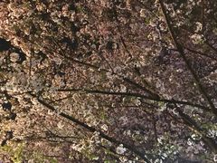 -虹口龙之梦购物中心·停车场