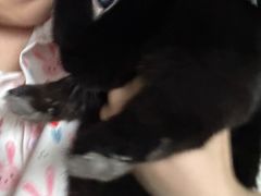 -宠物兔专门店(天丰利市场店)