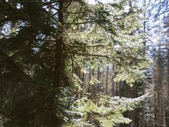 -硗碛藏寨·神木垒景区