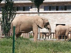 -石家庄市动物园