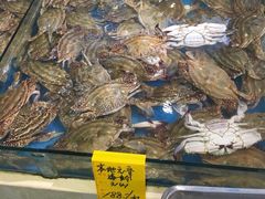 水产区-北塘海鲜·天津菜(大光明桥旗舰店)