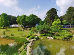 -铁山坪森林公园