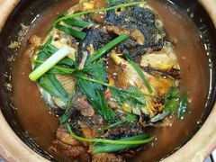 -华仔土鸡店(南洲分店)