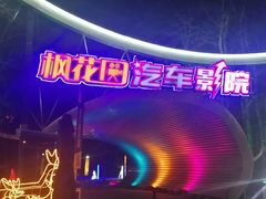 -枫花园汽车电影院(朝阳公园店)