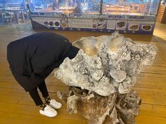 -蓝湾碧波·老字号·疍家非遗海上餐厅