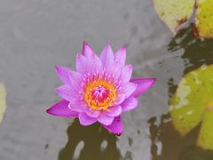 -如家精选酒店(上海塘桥儿童医学中心世博店)