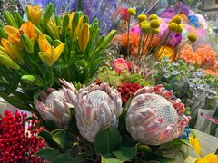 -吴山花鸟城-停车场