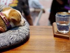 -Line 咖啡(石厦花园店)