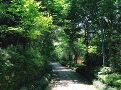 -法云古村