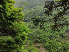 -宁波五龙潭景区