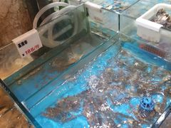 水产区-菲乐餐厅(三十年经营·湖滨路店)