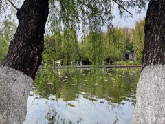 -翠湖公园