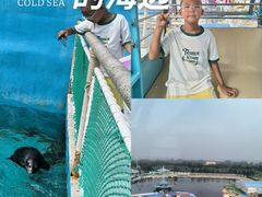 -秦皇岛乐岛海洋王国