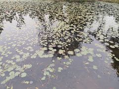 -华南国家植物园-售票处