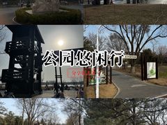 -绿堤公园