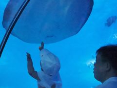 -太平洋海底世界