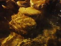 -青城道汤池