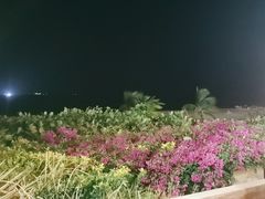 -渔家火锅·海鲜自助餐·演艺(亚龙湾天域酒店)