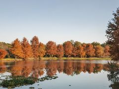 -上海海湾国家森林公园