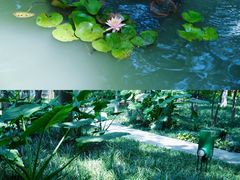 -成都市活水公园