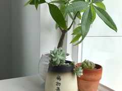 -稀物集咖啡(徽州大道店)