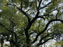 -中山大学广州校区南校园怀士堂