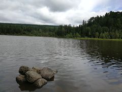 -五营红松林海景区