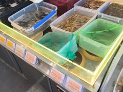 -禧福楼·十五年老店(科技城店)