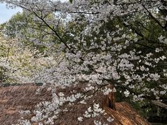 -中国茶叶博物馆(双峰馆区)