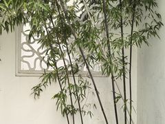 -中国昆曲博物馆