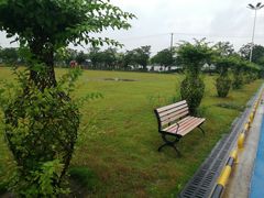 -海上花岛玫瑰园采摘