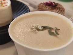 -树咖啡tree coffee