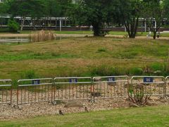 -Again Coffee Roaster(香蜜湖店)