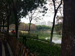 -东莞植物园