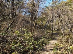 -玉渡山自然风景区