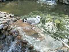-燕塞湖鸟语林景区