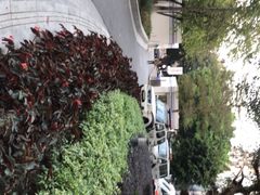 -广东省中医院(芳村医院)
