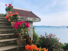 -鼓浪屿钢琴博物馆