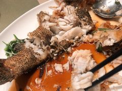 清蒸东星斑-陶陶居海鲜酒家(新马路店)