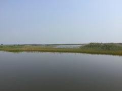 景点-官港森林公园