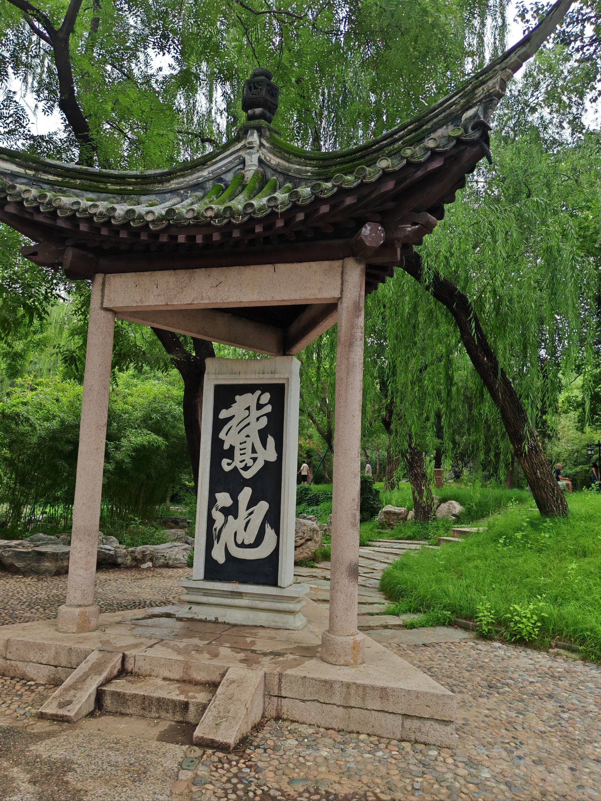 陶然亭公园真好 应该天气凉爽的时候