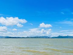 -深圳湾公园(南山区)