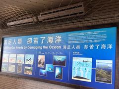 -香港海洋公园
