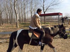 -黄海国家森林公园