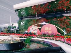 -广州白云国际机场-T2航站楼