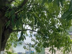 -古宇湖风景名胜区